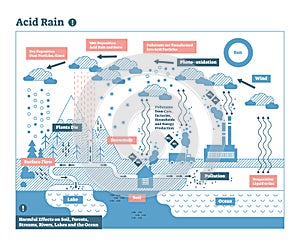 Acid rain cycle, nature ecosystem pollution infographic