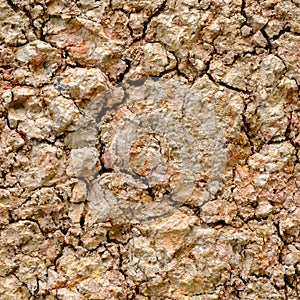 Acid sulfate soils surface