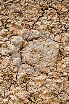 Acid sulfate soils surface