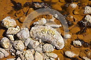 Acidic crystals in rio Tinto photo