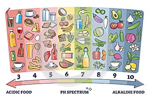 Acidic vs alkaline eating foods meal examples on PH spectrum outline diagram