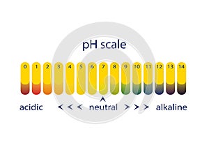 Acidity scale of litmus indicator paper. Vector illustration.