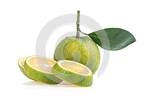 Acidless orange fruits  isolated on white background