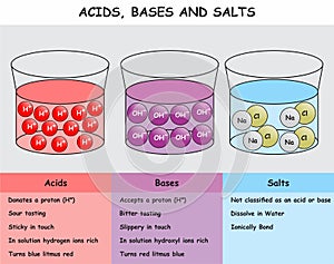 Acids Bases and Salts infographic diagram