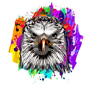 Acolorful artistic eagle isolated on white backgroundgraphic design concept