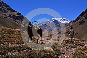 ACONCAGUA Andes Mountain - ACONCAGUA  photo