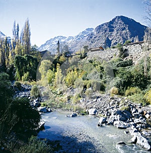 aconcagua,mountain andes green valley with tree snow and blue sky chile