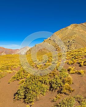 Aconcagua National, Park, Mendoza, Argentina