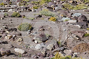 Aconcagua National, Park, Mendoza, Argentina