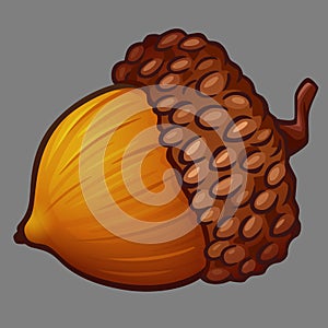 Acorn with brown hat