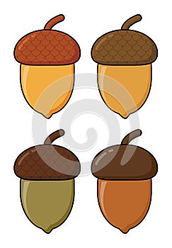 Acorn  cartoon vector set isolated on white. Oak tree fruits with cap  icon set in different colors. Illustration of autumnal oak