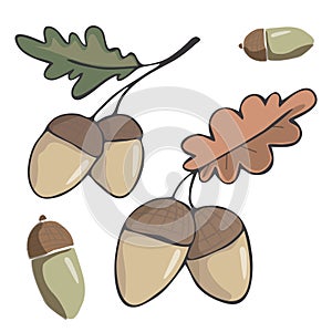 Acorn figure clip art illustration leaf drawing color element vector wood forest fruit of oak green red orange one two acorns simi