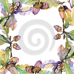 Acorn green leaves and nuts. Watercolor background illustration set. Frame border ornament square.