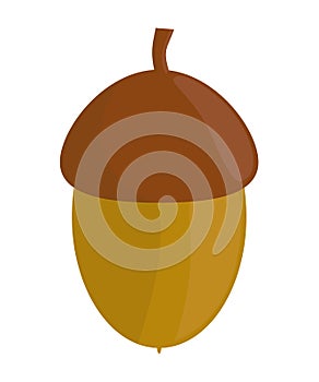 Acorn icon. Cartoon vector illustration isolated on white