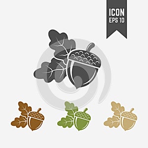 Acorn isolated vector icon