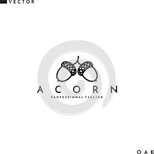 Acorn logo. Line art. Isolated branch with acorns