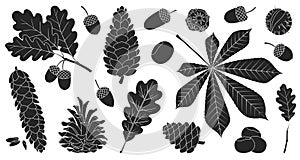 Acorn of oak black vector set icon. Vector illustration autumn leaf and nut on white background.Isolated black icon