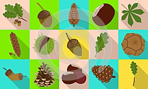 Acorn of oak flat vector set icon. Vector illustration autumn leaf and nut on white background.Isolated flat icon acorn