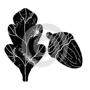 Acorn and oak leaf. Black vector grunge illustration