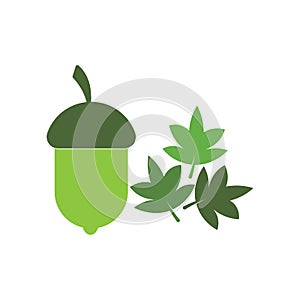 acorn, oak leaf logo vector