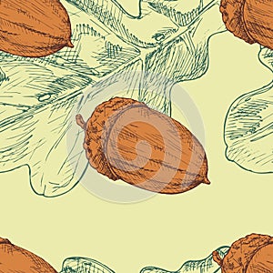 Acorn and oak leaf. Vector seamless pattern. Hand drawn color illustration