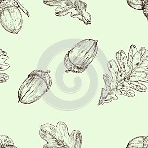 Acorn and oak leaf. Vector seamless pattern. Hand drawn illustration. Autumn background