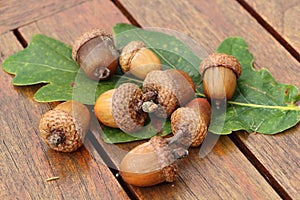 Acorn and oak leaf on a wooden table