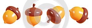 Acorn oak nut floating in different angles 3d render illustration set.