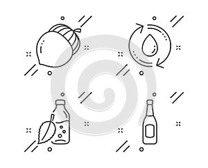 Acorn, Refill water and Water bottle icons set. Beer sign. Oaknut, Recycle aqua, Mint leaf drink. Pub alcohol. Vector