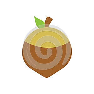 Acorn round vector illustration icon