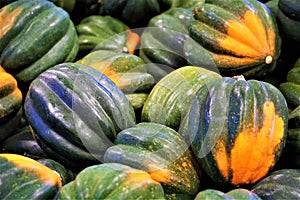 Acorn Squash at a Farmers Market in Autumn