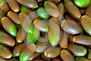 Acorns