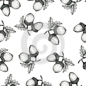 Acorns on branch seamless pattern, vintage autumn background with ink acorns drawing, line art fall decoration, autumn sketch