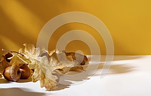 Acorns and dry yellow oak leaves on white surface against yellow wall with shadows close up copy space