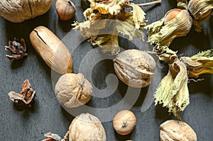 Acorns,nuts,hazelnuts with dry peduncle on black background