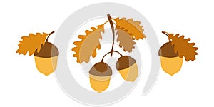 Acorns with oak leaves - autumn decorative elements for design and decor, leaf fall, oak tree, autumn time