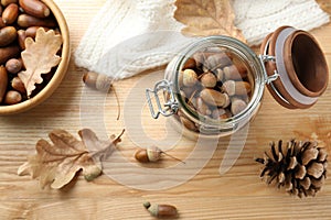 Acorns, oak leaves and pine cone on wooden table, flat lay