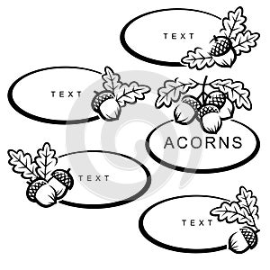 Acorns set. Collection icon acorns. Vector