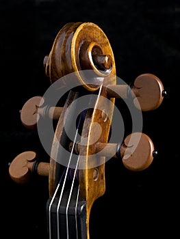 Acoustic Classical Violin right