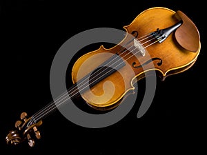 Acoustic Classical Violin top