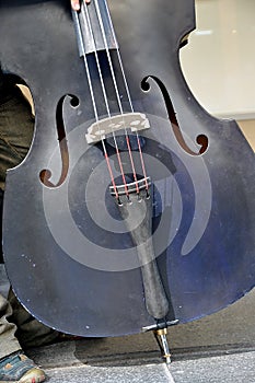 Acoustic double bass player