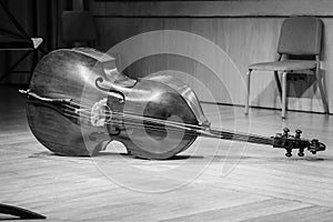 Acoustic double bass on a wooden floor.