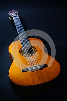 Acoustic Guitar