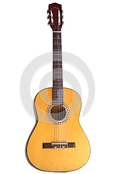 Acoustic Guitar