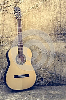 Acoustic Guitar