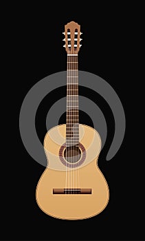 Acoustic guitar