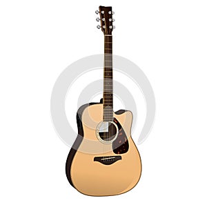 Acoustic Guitar photo