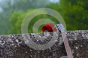 Acoustic guitar and bouquet of red roses