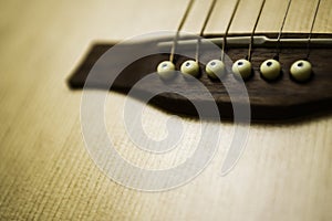 Acoustic Guitar Detailed Saddle and Bridge