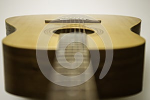 Acoustic Guitar Fretboard and Body